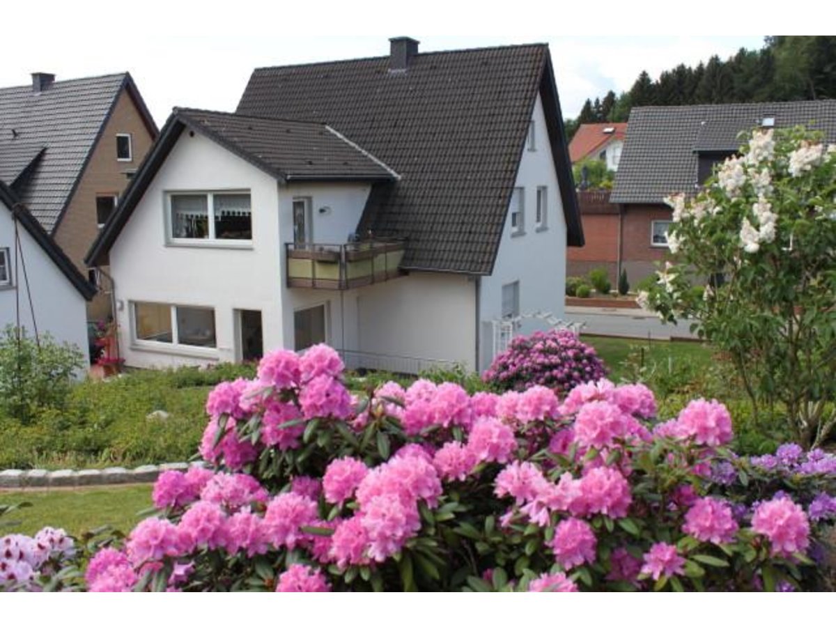 Bild-1