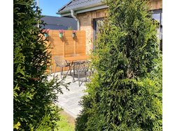 Ferienwohnung Ferienwohnung-2209562 in Ribnitz-Damgarten - 4 Personen, Hund erlaubt