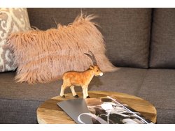 Bild zur gratis inserierten Ferienwohnung Ferienwohnung-2099622.