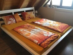 Ferienwohnung Ferienwohnung-2213165 in Sietow - 7 Personen, Hund erlaubt