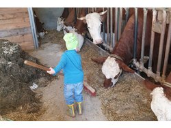 Ferienwohnung Ferienwohnung-2214413 in Wittelshofen - 4 Personen, Hund nicht erlaubt