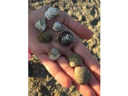 Bild zur gratis inserierten Ferienwohnung Ferienhaus-2220564.