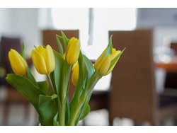 Bild zur gratis inserierten Ferienwohnung Ferienhaus-2220949.