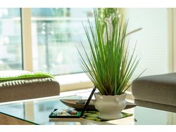 Bild zur gratis inserierten Ferienwohnung Ferienwohnung-2221040.