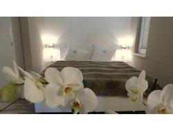 Bild zur gratis inserierten Ferienwohnung Ferienwohnung-2227809.