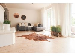 Bild zur gratis inserierten Ferienwohnung Ferienhaus-2227698.