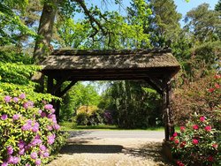 Bild zur gratis inserierten Ferienwohnung Ferienhaus-2242599.