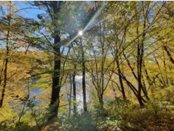 Bild zur gratis inserierten Ferienwohnung Ferienhaus-2244112.