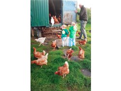 Bild zur gratis inserierten Ferienwohnung Apartment-2246966.