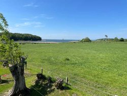 Bild zur gratis inserierten Ferienwohnung Ferienwohnung-2257796.