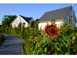 Bild zur gratis inserierten Ferienwohnung Ferienhaus-2268295.