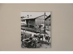 Bild zur gratis inserierten Ferienwohnung Ferienwohnung-2258804.