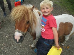 Ferienwohnung Ferienwohnung-2259544 in Leck - 4 Personen, Hund nicht erlaubt