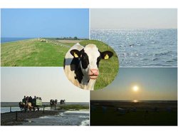 Bild zur gratis inserierten Ferienwohnung Ferienwohnung-1829857.