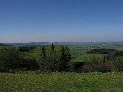 Ferienhaus Ferienhaus-2260237 in Bad Dürrheim - 4 Personen, Hund erlaubt