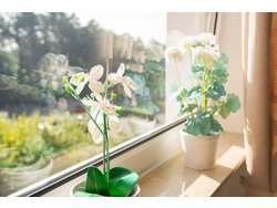 Bild zur gratis inserierten Ferienwohnung Ferienwohnung-2263808.