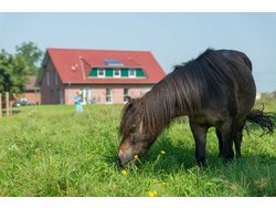 Ferienwohnung Ferienwohnung-2264382 in Grasberg - 6 Personen, Hund nicht erlaubt