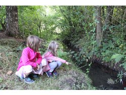 Bild zur gratis inserierten Ferienwohnung Ferienhaus-2265587.