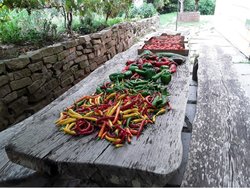 Ferienhaus Ferienhaus-2275028 in Witzmannsberg - 3 Personen, Hund erlaubt