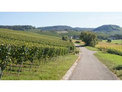 Bild zur gratis inserierten Ferienwohnung Ferienwohnung-2277069.