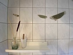 Bild zur gratis inserierten Ferienwohnung Ferienwohnung-2259068.