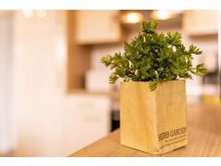 Bild zur gratis inserierten Ferienwohnung Ferienwohnung-2287431.