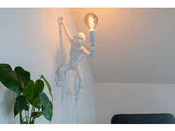 Bild zur gratis inserierten Ferienwohnung Ferienwohnung-2287492.