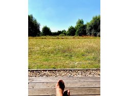 Ferienhaus Ferienhaus-2290207 in Rechtsupweg - 2 Personen, Hund erlaubt