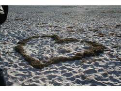 Bild zur gratis inserierten Ferienwohnung Ferienwohnung-2293206.