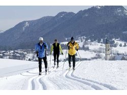 Bild zur gratis inserierten Ferienwohnung Ferienwohnung-2297439.