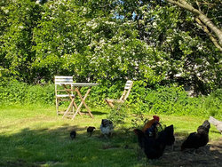 Bild zur gratis inserierten Ferienwohnung Ferienwohnung-2298334.