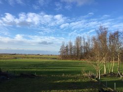 Ferienhaus Ferienhaus-2299742 in Wiegboldsbur - 6 Personen, Hund nicht erlaubt