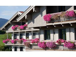 Bild zur gratis inserierten Ferienwohnung Ferienwohnung-2320805.