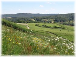 Ferienwohnung Ferienwohnung-2321696 in Michelau i.Steigerwald - 3 Personen, Hund nicht erlaubt