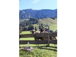 Bild zur gratis inserierten Ferienwohnung Ferienwohnung-2322551.