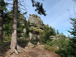 Bild zur gratis inserierten Ferienwohnung Ferienwohnung-2325040.