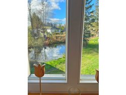 Ferienwohnung Ferienwohnung-2338614 in Hüttenrode - 5 Personen, Hund erlaubt