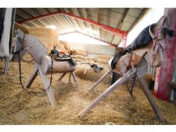 Ferienwohnung Ferienwohnung-2129498 in Kabelhorst - 6 Personen, Hund nicht erlaubt