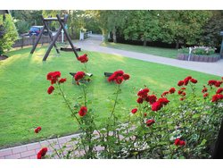 Bild zur gratis inserierten Ferienwohnung Ferienwohnung-3233736.