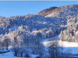 Bild zur gratis inserierten Ferienwohnung Ferienwohnung-3236028.