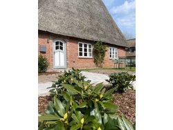 Bild zur gratis inserierten Ferienwohnung Ferienhaus-3240807.