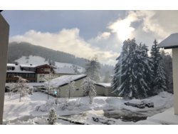 Ferienwohnung Ferienwohnung-3241225 in Oberstaufen - 4 Personen, Hund erlaubt