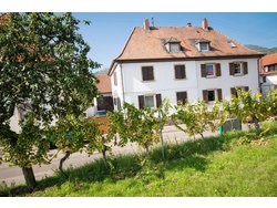 Bild zur gratis inserierten Ferienwohnung Ferienwohnung-2118872.