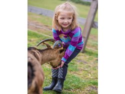 Bild zur gratis inserierten Ferienwohnung Ferienwohnung-3250069.