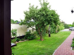 Bild zur gratis inserierten Ferienwohnung Ferienwohnung-3253468.