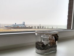 Bild zur gratis inserierten Ferienwohnung Ferienwohnung-3254837.