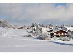 Ferienwohnung Ferienwohnung-3255076 in Rieden am Forggensee - 2 Personen, Hund nicht erlaubt