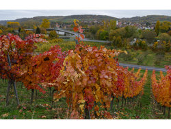 Ferienwohnung Ferienwohnung-3257755 in Winterhausen - 6 Personen, Hund erlaubt