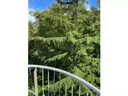 Bild zur gratis inserierten Ferienwohnung Ferienwohnung-3267330.