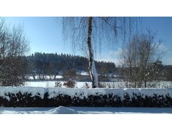 Ferienhaus Ferienhaus-3245387 in Tirschenreuth - 4 Personen, Hund erlaubt